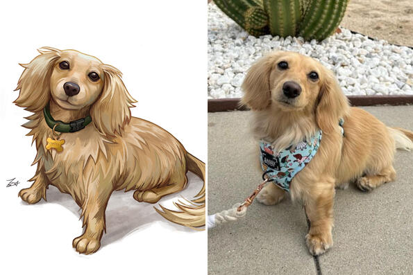 Camper (my dog) Camper (my dog)